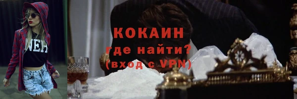 твердый Лиски