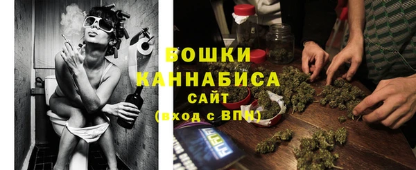 шишки Липки