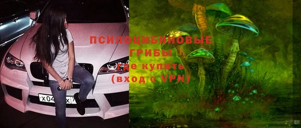 твердый Лиски