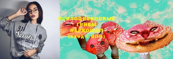 шишки Липки